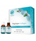 Regulatpro® Collagen 20x20 ml